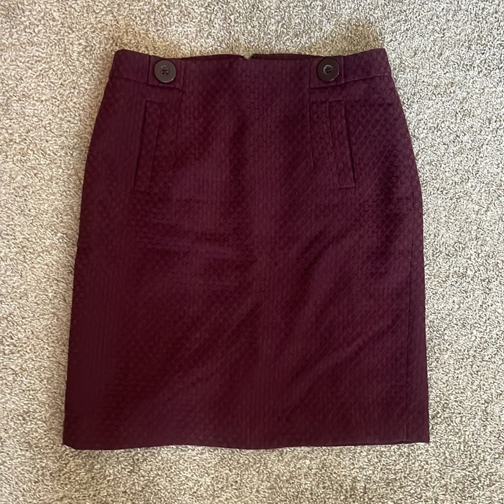 Ann Taylor Skirt